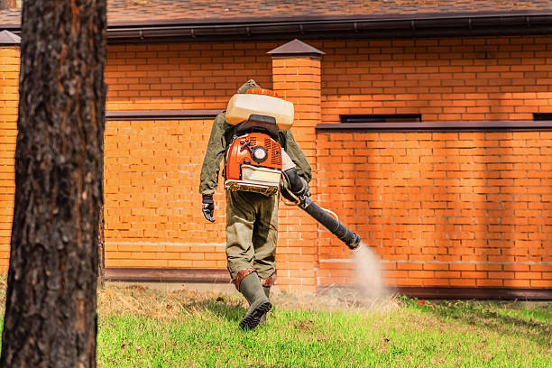 Trusted Bed Bug Control service in Swisher, IA - Nex Pest Control